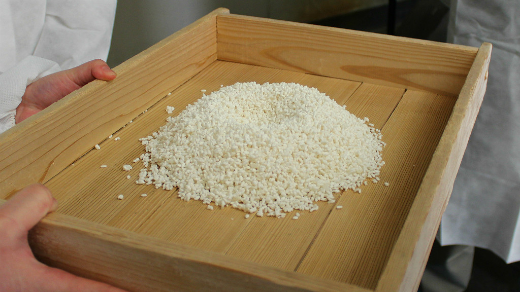 rice early in the sake brewing process at fukumitsuya brewery in kanazawa, ishikawa, Japan