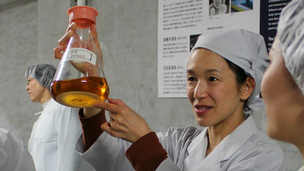 A Fukumitsuya tour guide shows off the yeast used to make sake in kanazawa japan