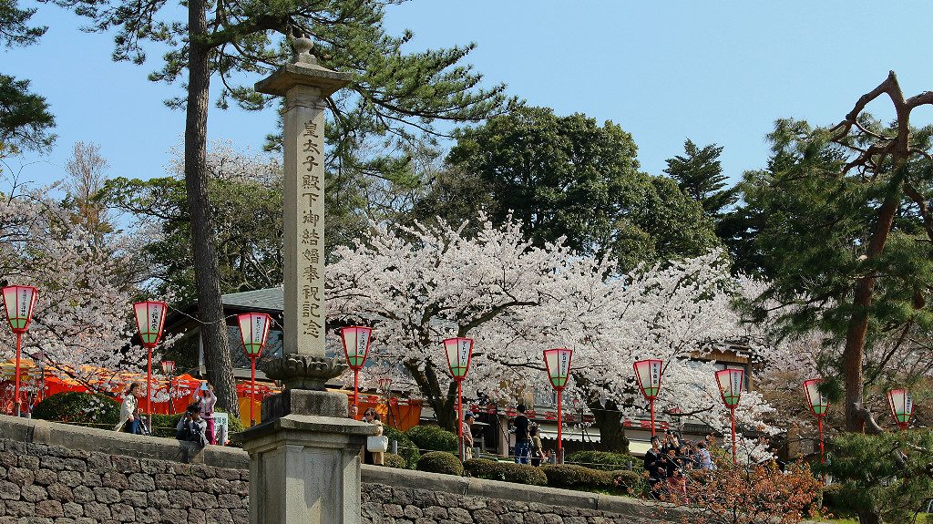 Sakura-lined Edomachi alongside Kenrokuen