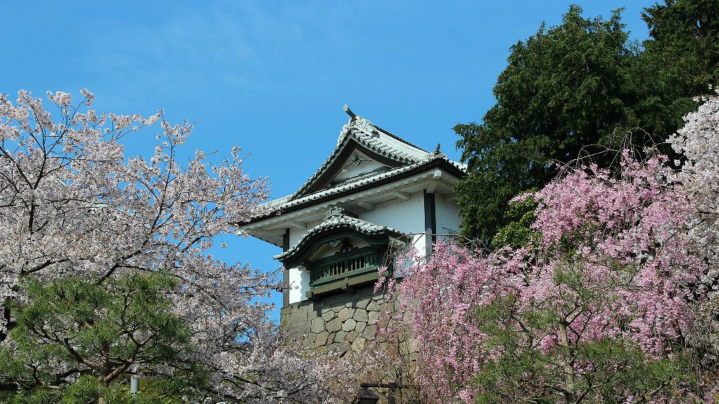 Kanazawa Castle Park during Cherry Blossom Season