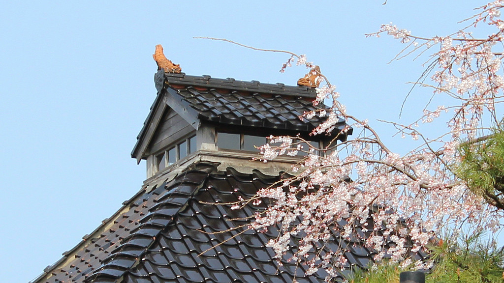 The “Ninja” Temple: Samurai Secrets and Lies