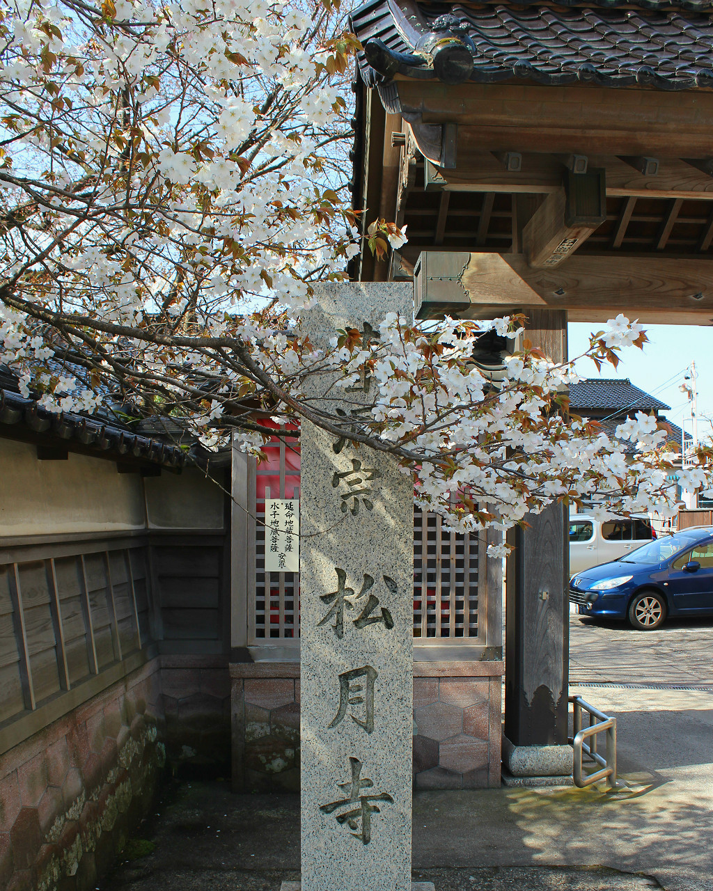 When your temple's cherry tree photobombs your temple name