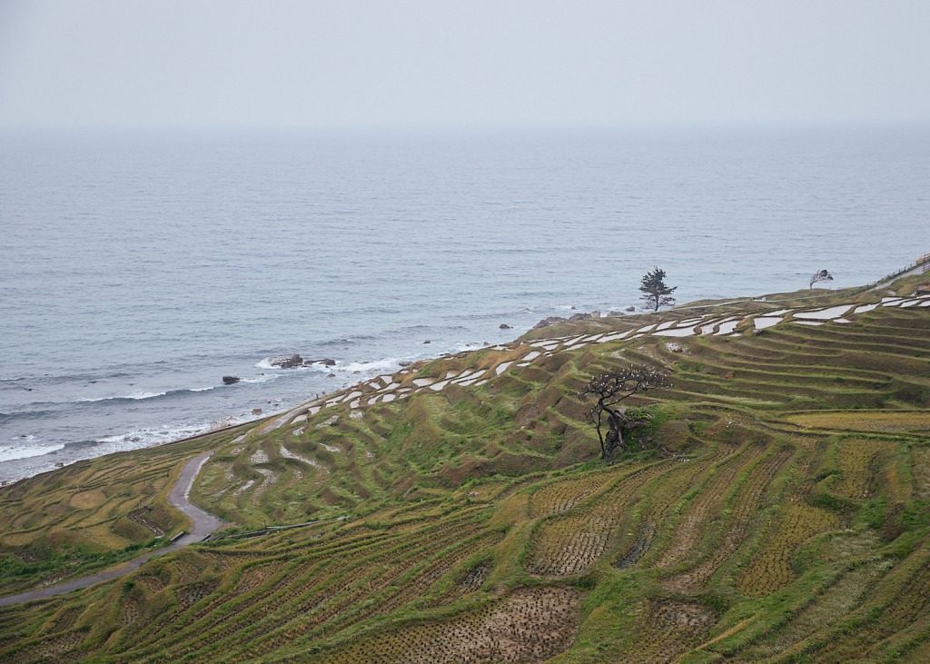 The 1004 Rice Paddies of Senmaida 