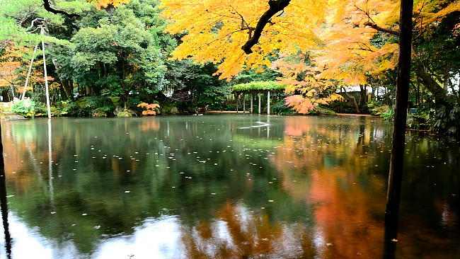 Shofukaku Garden in autumn, near Hokutoh Pottery and the DT Suzuki Museum in Kanazawa, Japan