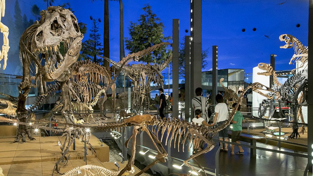 The Dinosaur World level of the Fukui Dinosaur museum includes 35 full skeletons