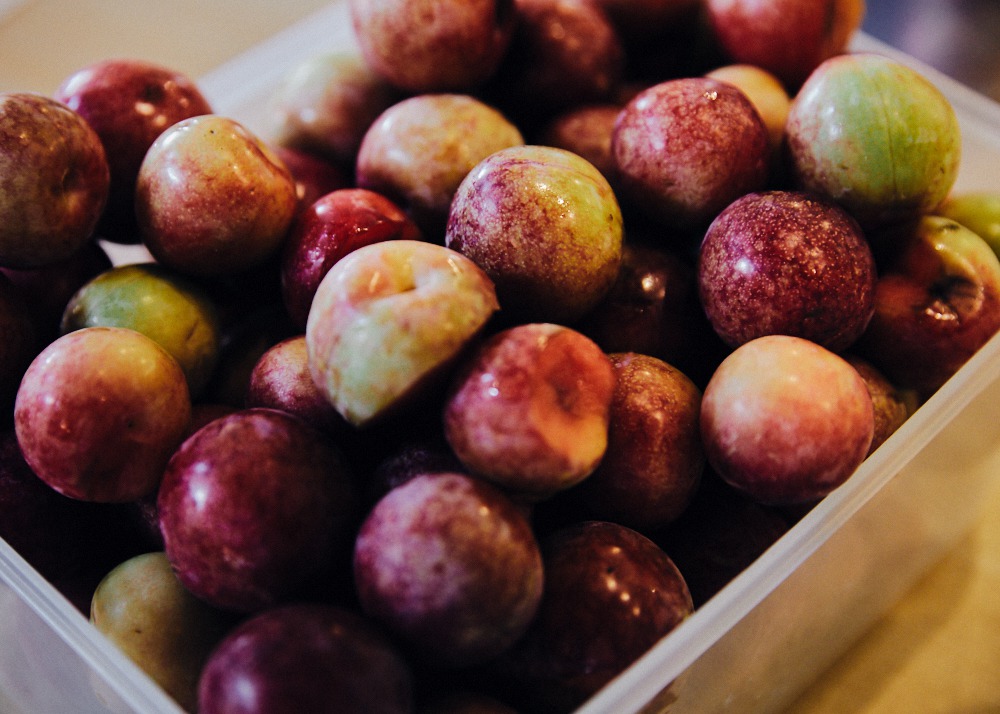 Freshly picked fruit from the Takigahara Farm in Komatsu