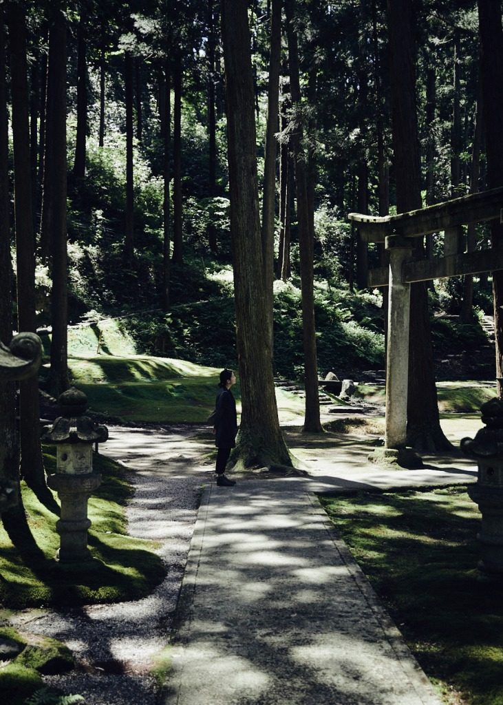 Moss garden in the Forest of Wisdom in Komatsu