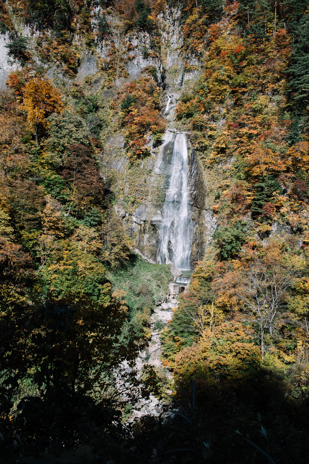 Waterfall amid autumn colors along the White Road, the scenic highway to Shirakawa-go.