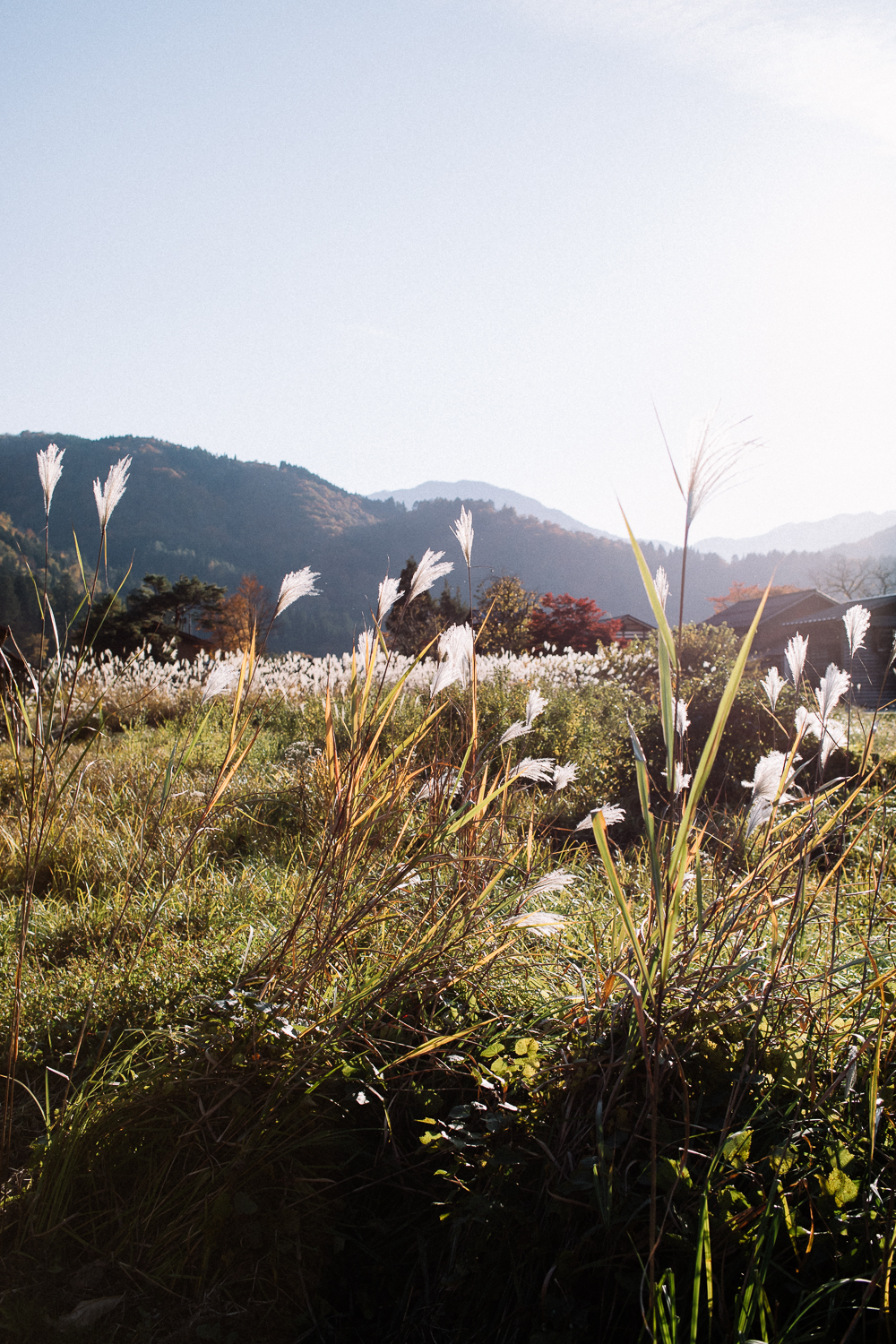 Open fields against mountains along the White Road, the highway leading to Shirakawa-go