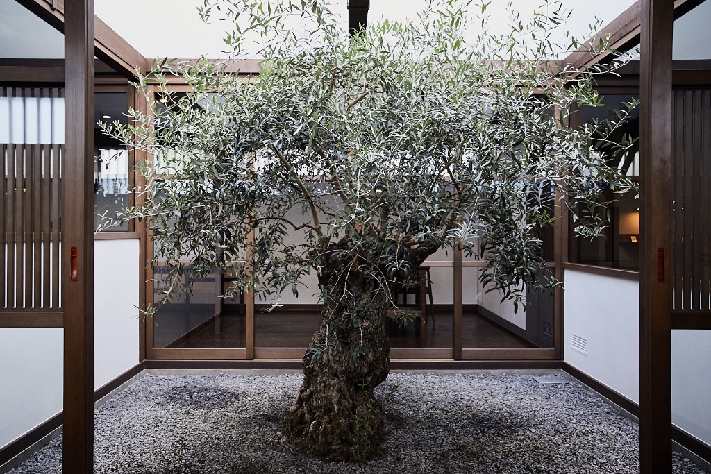 Interior garden space at YArn, in Komatsu