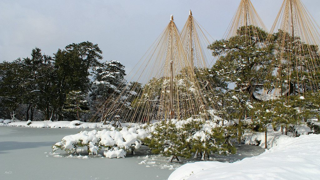 Yukizuri suspended "Crane Pine" over the largest lake in Kenroku-en in Kanazawa, Japan