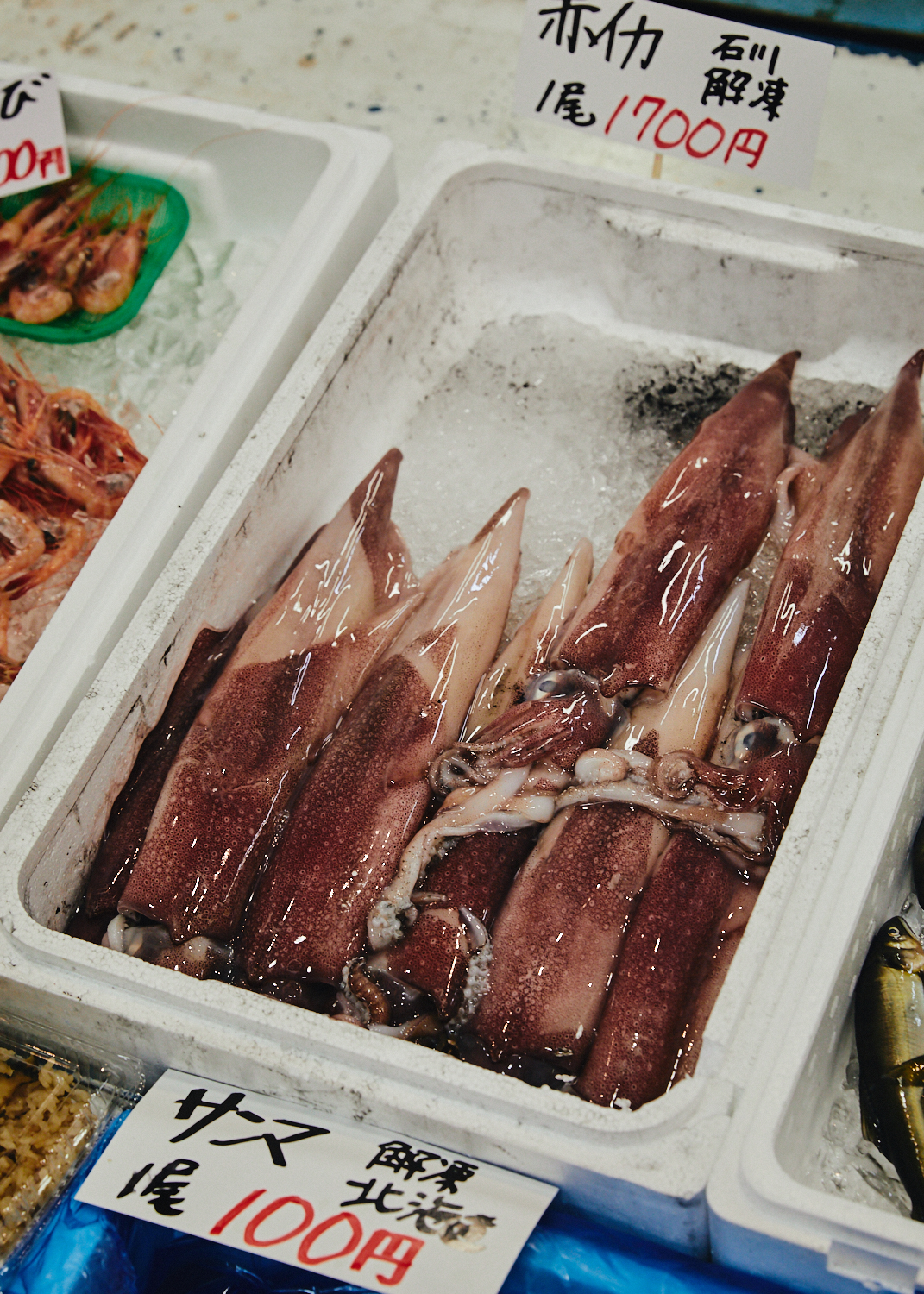 Fresh squid for sale at Iki Iki Fish Market in Ono Port, Kanazawa, Japan