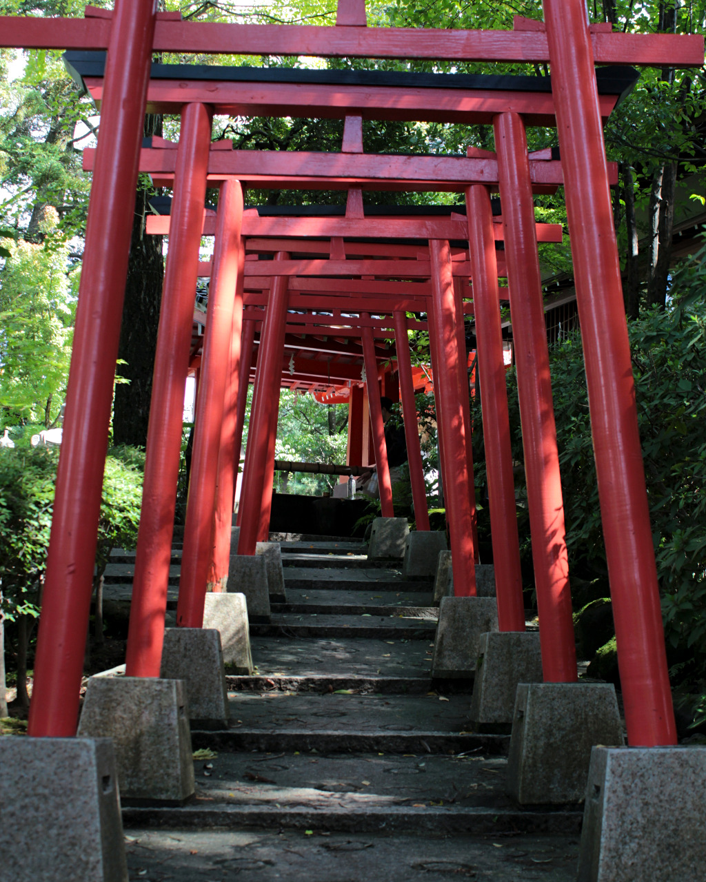 Pass under the eight torii gates of Kanazawa Shrine on the way to the sacred well for luck.