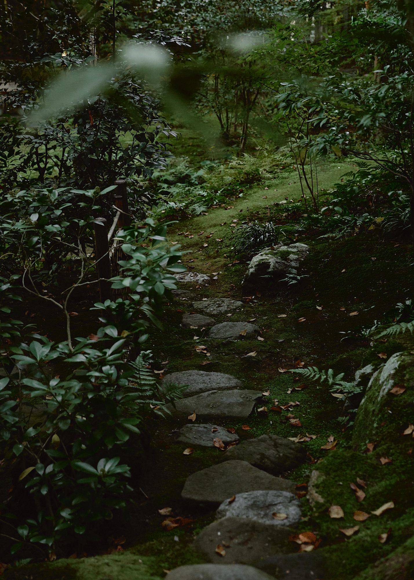 beniya mukayu, kaga onsen