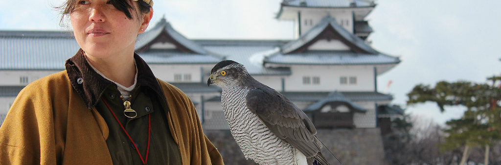 traditional Japanese falconry demonstration at Kanazawa Castle