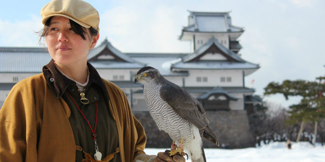 traditional Japanese falconry demonstration at Kanazawa Castle