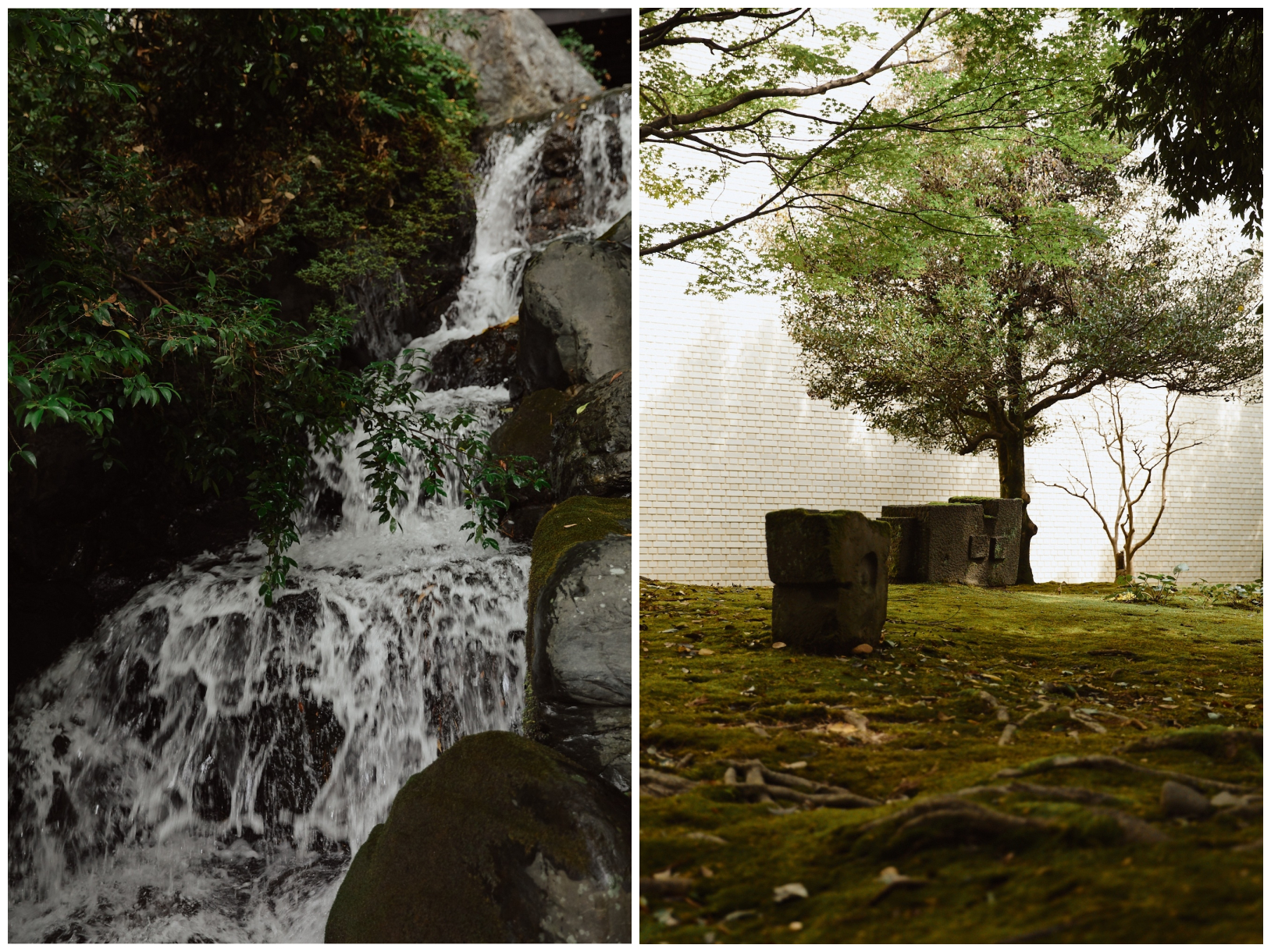 Honda no forest park, Kanazawa