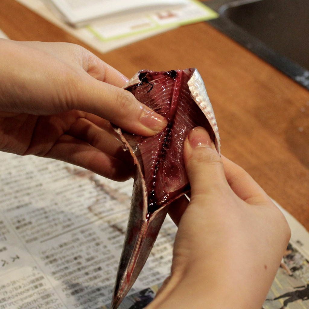 deboning a small fish by hand to prepare for fish paste during a cooking class in Kanazawa, Japan