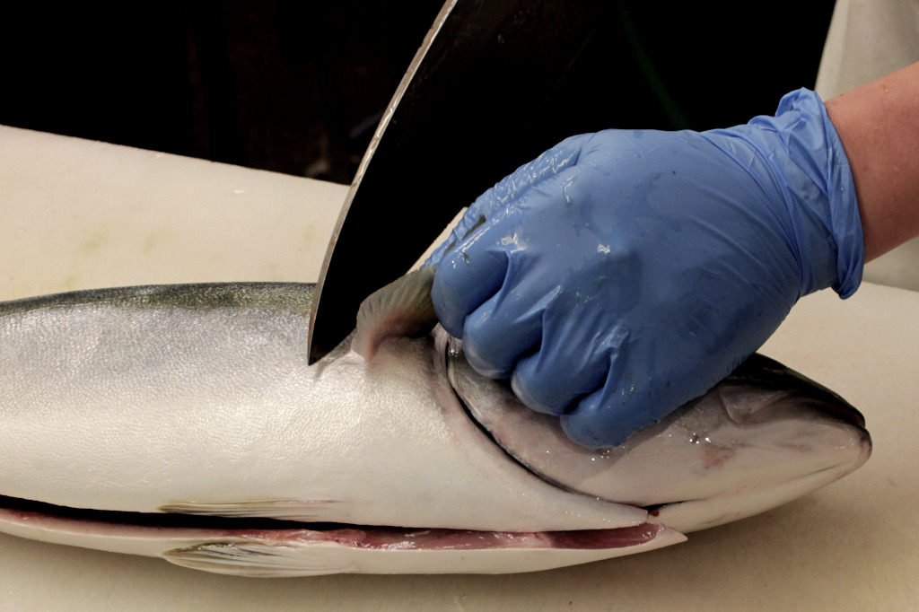 At Omicho Fish Market, yellowtail is pre-cut for housewives and chefs