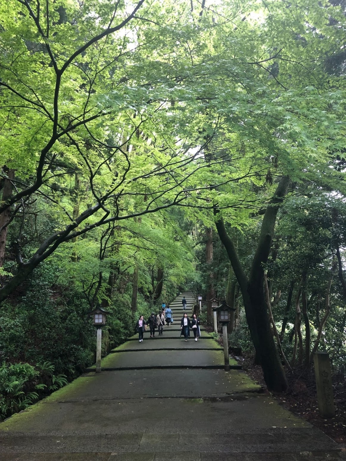 Near Shirayama Shrine, by Karen Unami