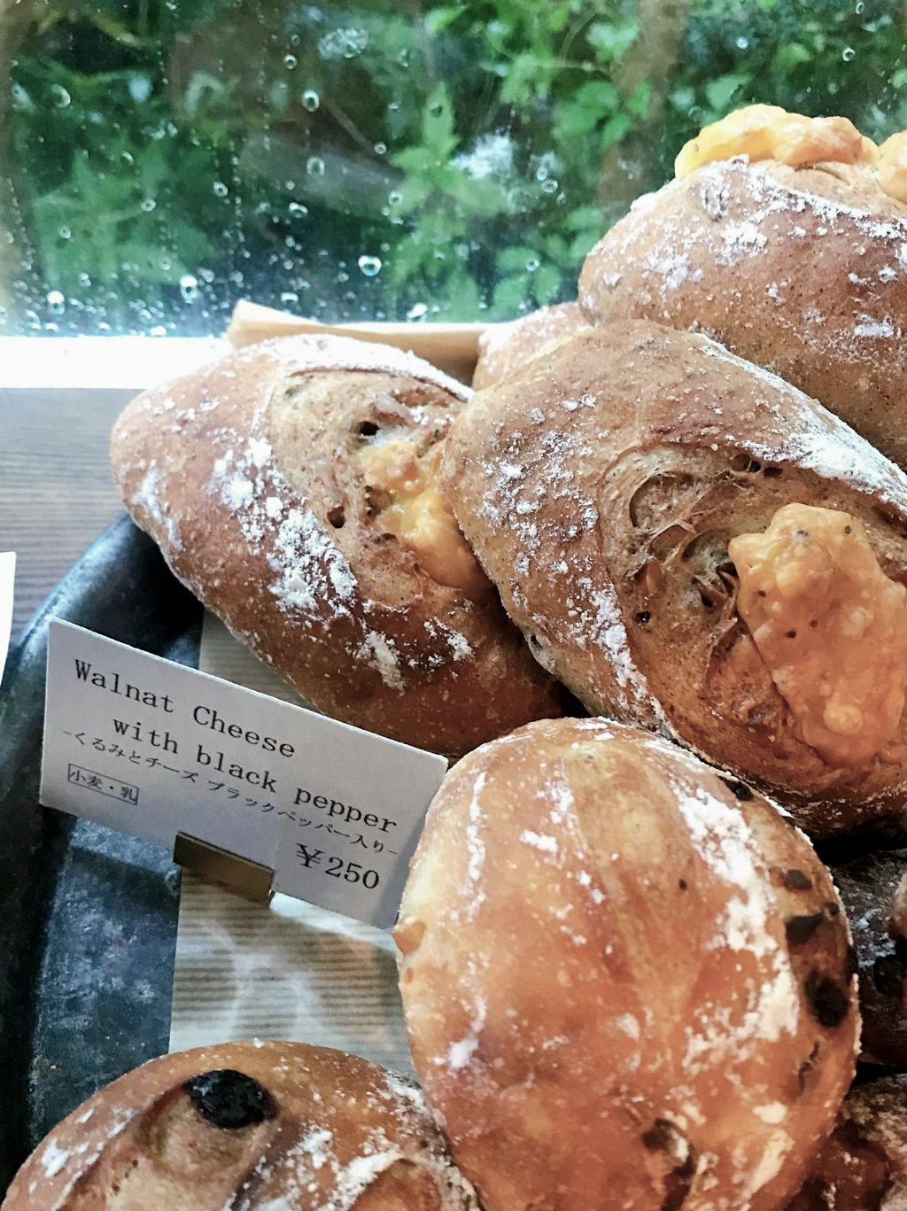 Coya breads on display photo by Ayumi