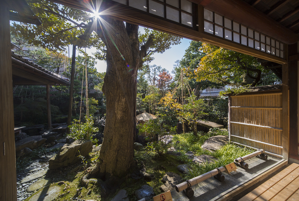 The Garden of the Nomura-ke Samurai Museum in Nagamachi, Kanazawa